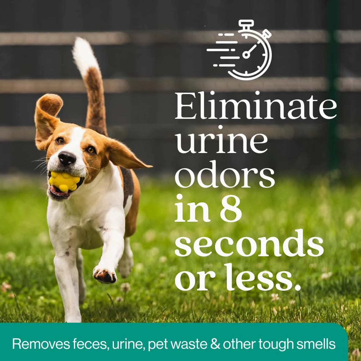 Eco Strong Eliminatore di odori per esterni per cani e urine, potente deodorante per animali domestici, gatti, animali domestici, resistenza professionale per cortile, tappeto erboso, canili, patii