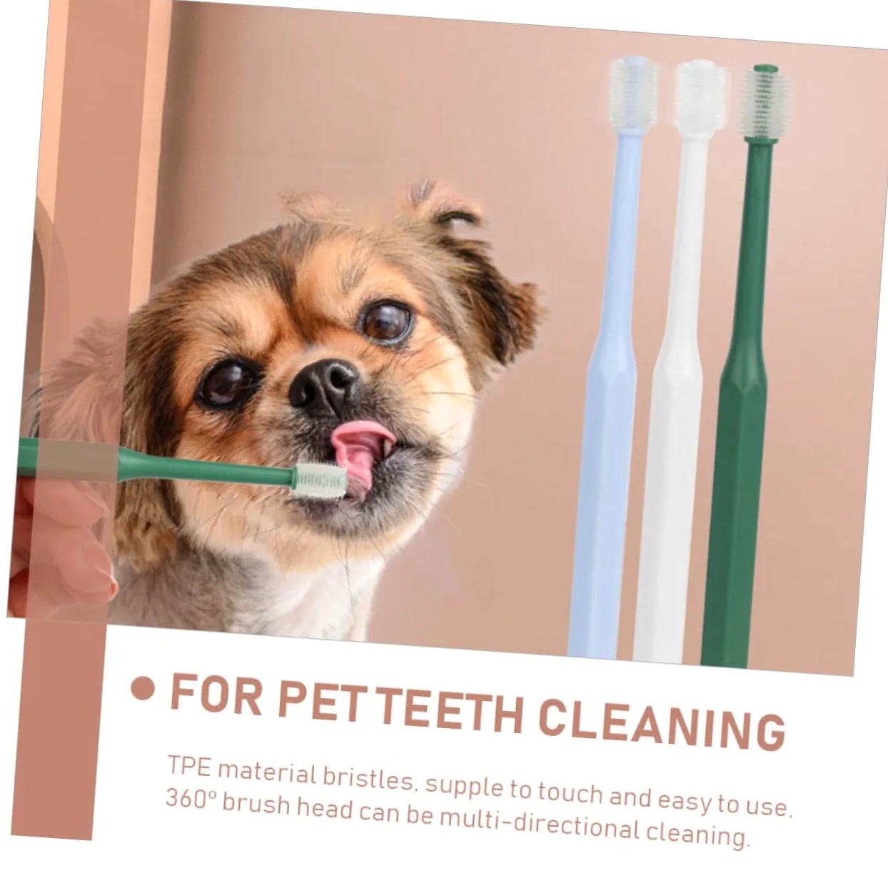 BESPORTBLE 12pezzi Spazzolino Per Animali Domestici Spazzolino Portatile Per Pulizia Orale Con Testa Rotonda Design Ergonomico e Antiscivolo Per Cani e Gatti