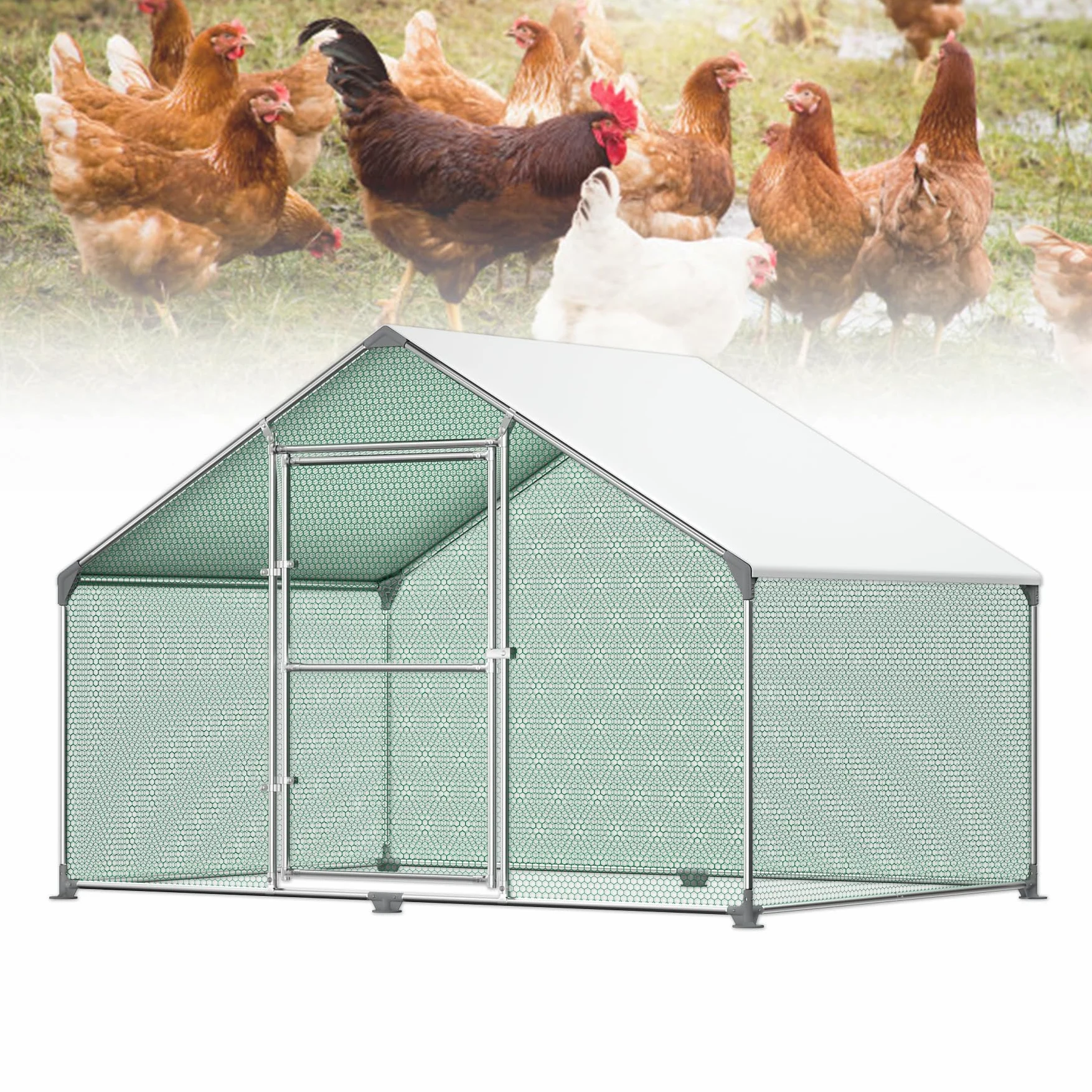 Froadp Pollai e Gabbie in Acciaio Zincato per Galline Uccelli da Esterno Gabbia con PE Tetto Parasole e Lucchetto Grande Recinto di Pollo Voliera per Animali Conigli Polli Cucce (3x2x2m, 6㎡)