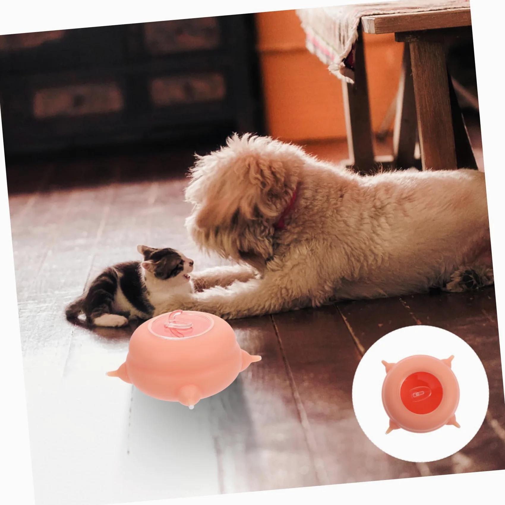 Biberon per Cuccioli e Gattini in Silicone, Rosa, Facile da Pulire, 1 Tettarella, per L’Allattamento dei Piccoli Animali | Facile da Pulire, per Piccoli Animali Domestici, Accessorio per Alimentazione e Allattamento