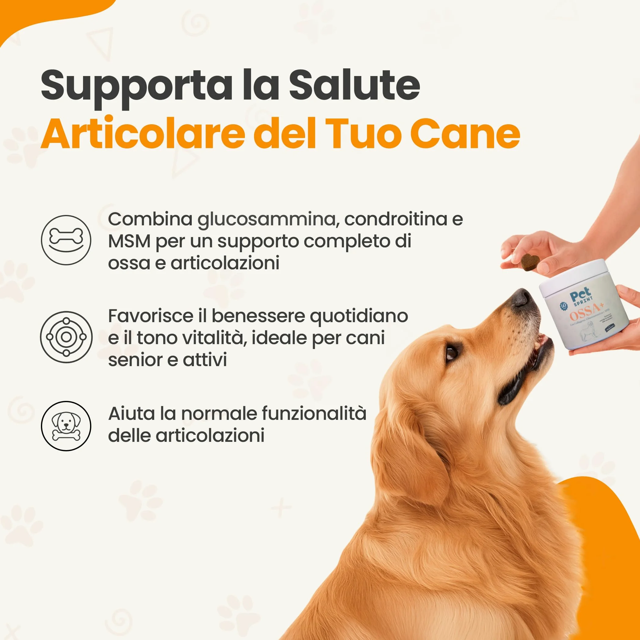 Integratore Articolazioni per Cani Ossa Più – Collagene, Glucosammina, MSM, Condroitina & Acido Ialuronico – Marchio Italiano
