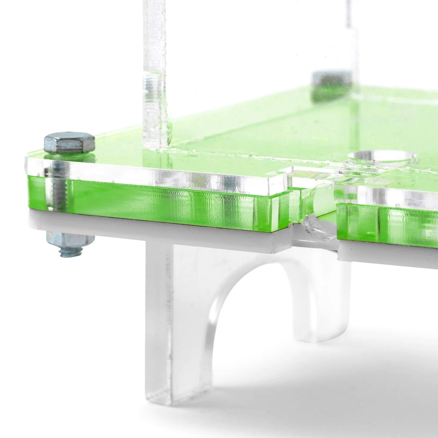 AntHouse - Formicaio Acrilico NaturColor 20x10x1cm - con Sistema di umidità Fungo (Formiche Incluse) - Verde
