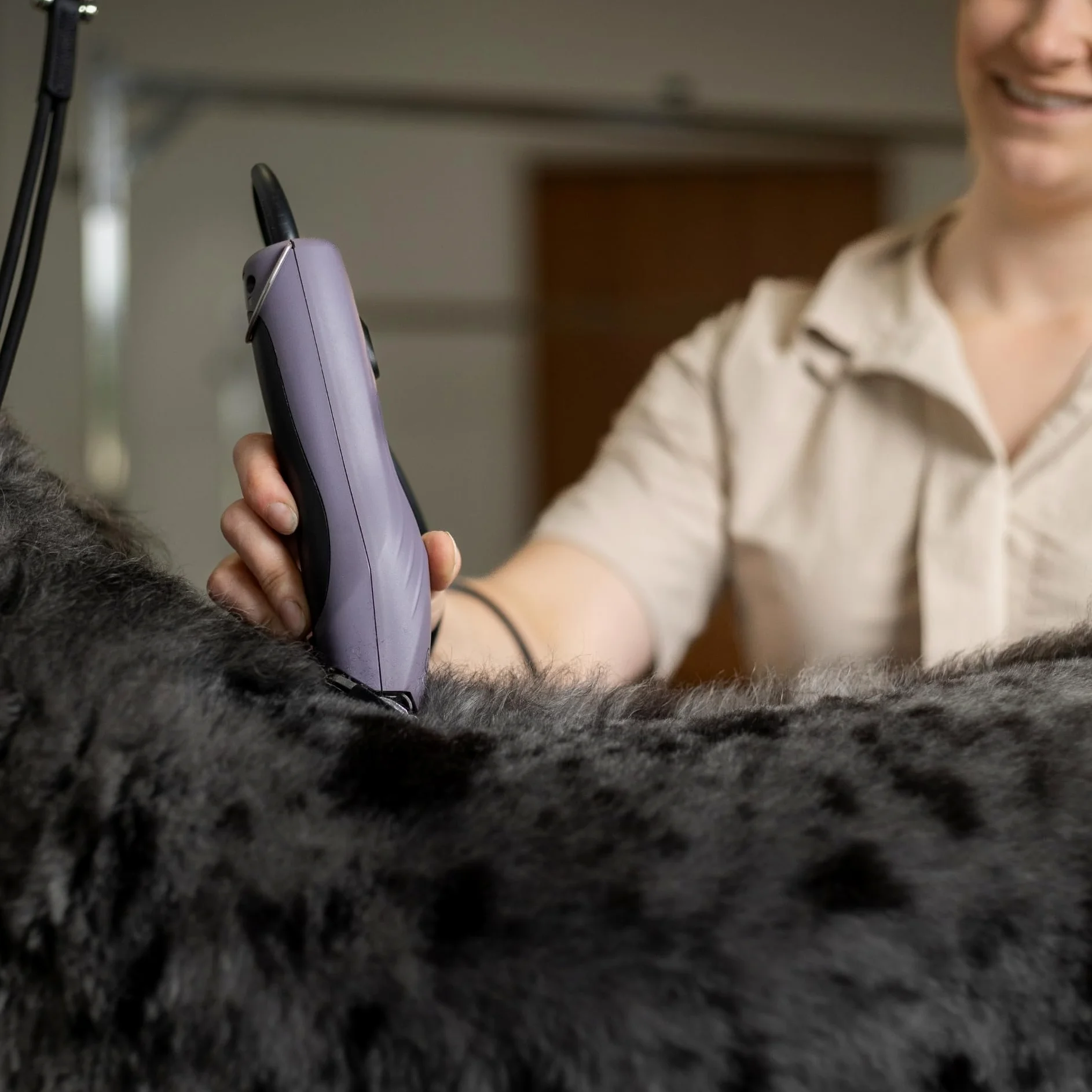 Agrarzone Edition Wahl KM10+ tosatrice professionale per cani e gatti - Silenziosa, Potente, con set di rilievi - Ideale per toelettatori e veterinari