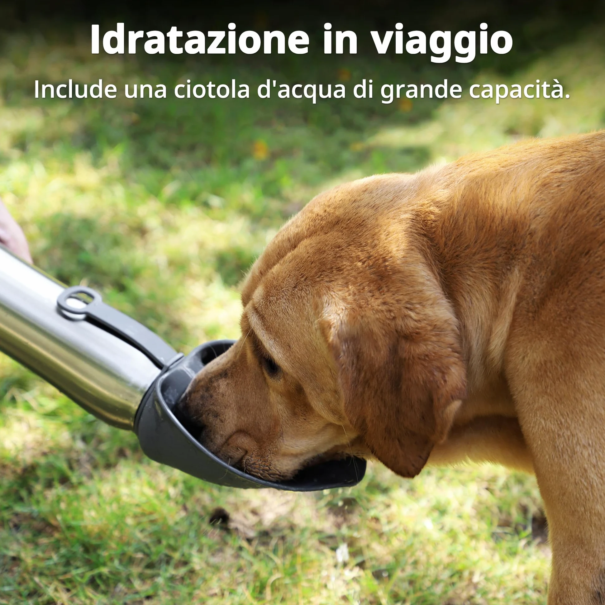 Borraccia Termica per Cani, 750 ml, Doppia Parete, per Passeggiate | 12 h caliente & 24 h frío, Cuenco plegable de silicona, Antifugas, Acero inox 304, Sin BPA, Para perros de todos los tamaños