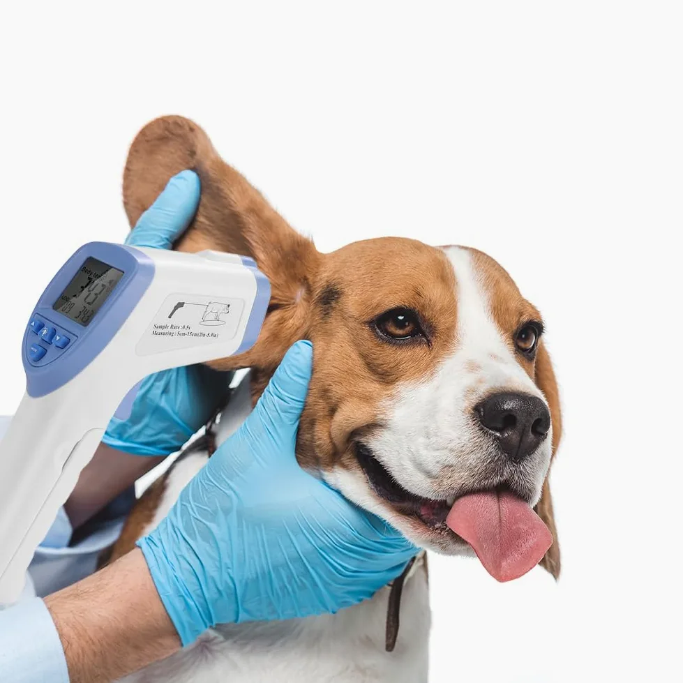 Termometro Veterinario, Display a LED Elettronico Per Animali da Compagnia Per Cani Termometro a Infrarossi Ad Alta Precisione Medicina Per La Salute del Bestiame Proteggi Bovini Pecore Maiale Cure Ca