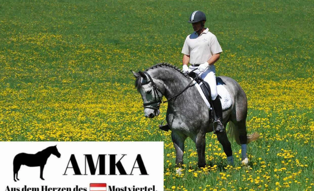 AMKA Morso in gomma flessibile spessore 18 mm, anelli 65 mm