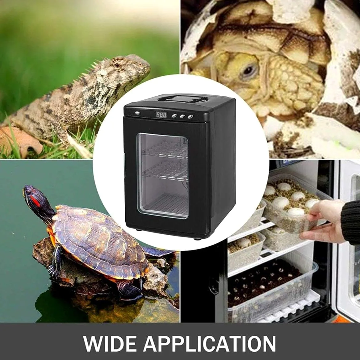 Incubatrice for rettili, incubatrice Animali Domestici da 25 Litri, Uova di Raffreddamento e Riscaldamento 5-60 ° C, Laboratorio scientifico Dig