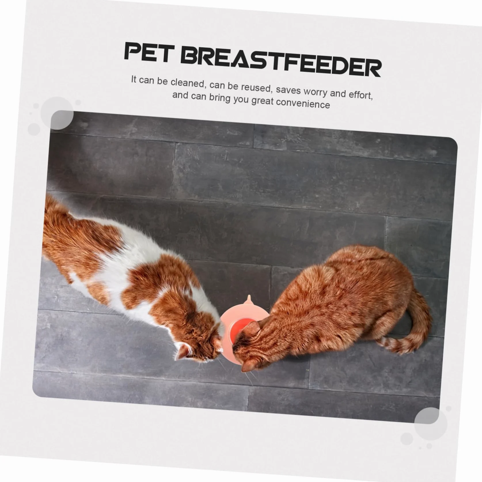 Biberon Leggero e Facile da Pulire per Piccoli Animali in Silicone per Allattamento Accessorio per L'addestramento dei Cuccioli