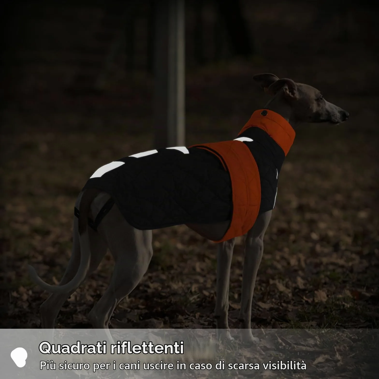 Cappotto Lurchers Invernale, Giacca Impermeabile Levrieri Giacca Calda Cani Piumino Cani Cappottino Imbottito Cani