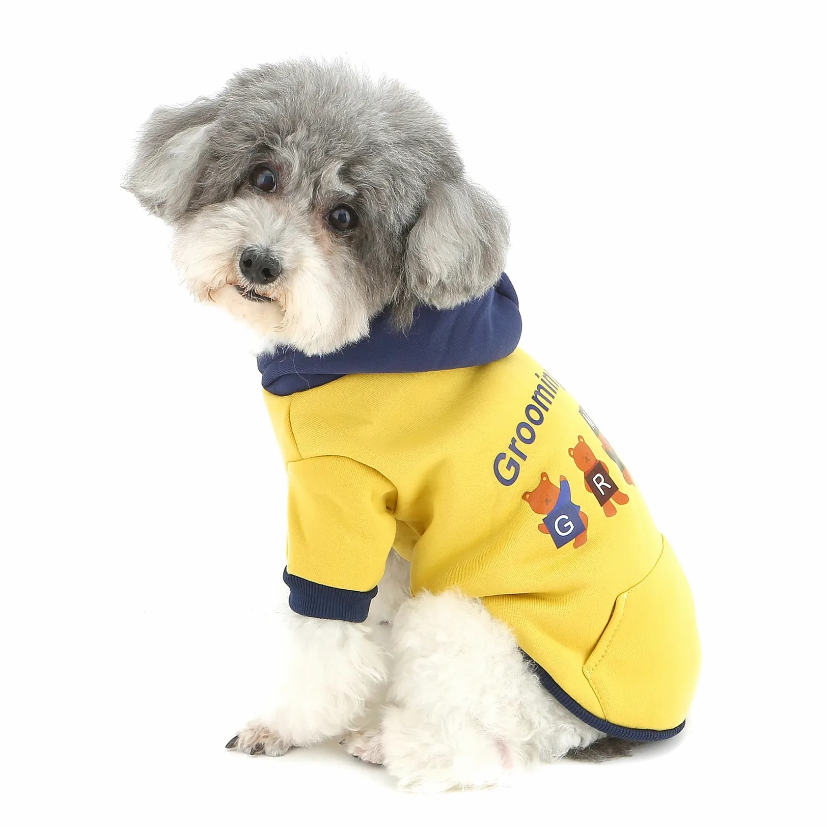 XHYRHTS Felpa con cappuccio in pile per cani con stampa simpatico cartone animato per razze Xsmall piccole, calda felpa pullover colorblock con anello a D, morbido abito invernale per cuccioli gattini