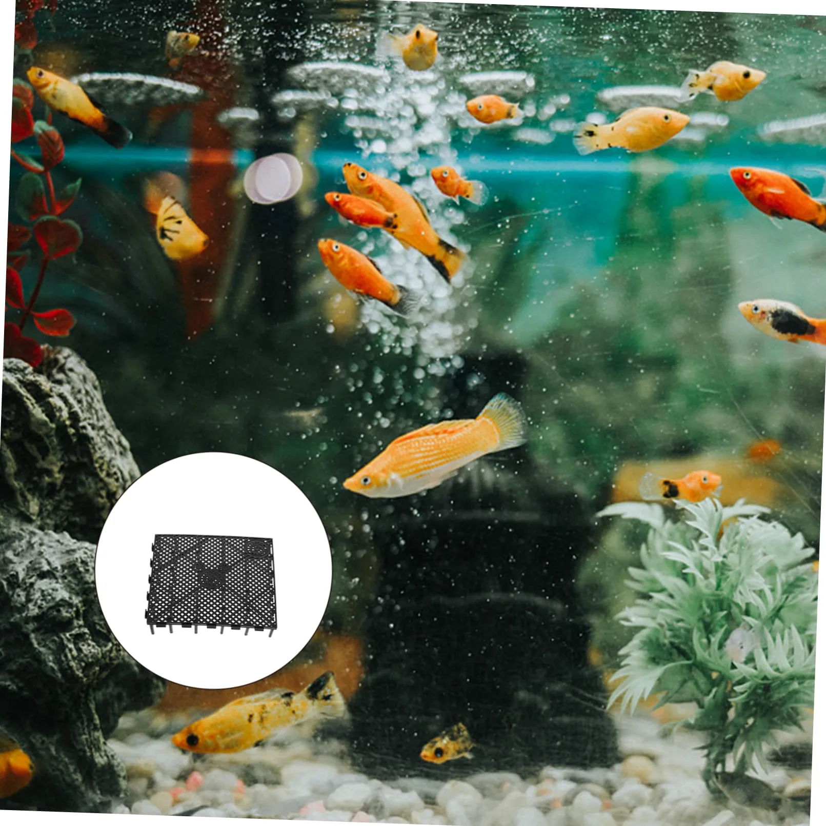 PRETYZOOM 18 Pollici Piastra Filtrante Inferiore del Serbatoio di Pesce Separatore per Acquari Vassoio Divisorio per Acquari Pannello Isolante per Acquario Pallet Ghiaia Griglia Plastica