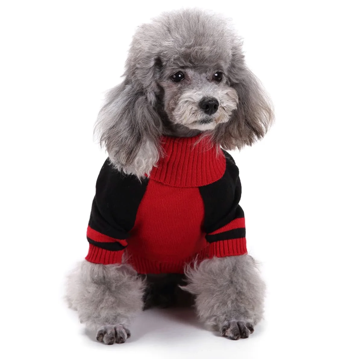 Housoutil 3 Pz maglione per cuccioli vestiti per animali domestici costume da cane angelo kit per cuccioli abito costumi da zucca per cani costumi per cani Orsacchiotto capi di abbigliamento