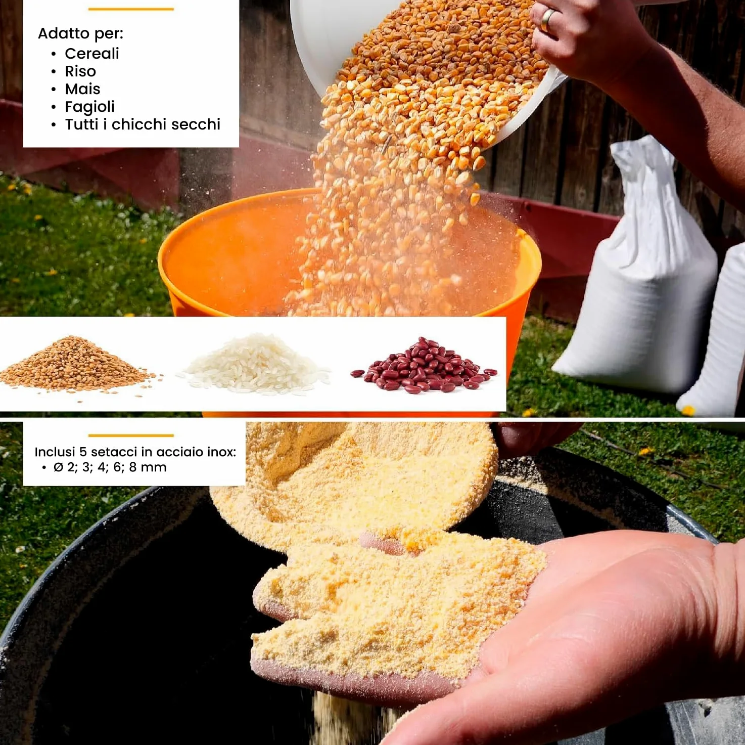 STREND PRO Mulino per cereali elettrico 1300W 60 L | 5 setacci | PROFI Mulino elettrico per tutti i tipi di cereali - Grano, Orzo, Mais, Avena | Mulino per mangimi per alimentare animali/bestiame