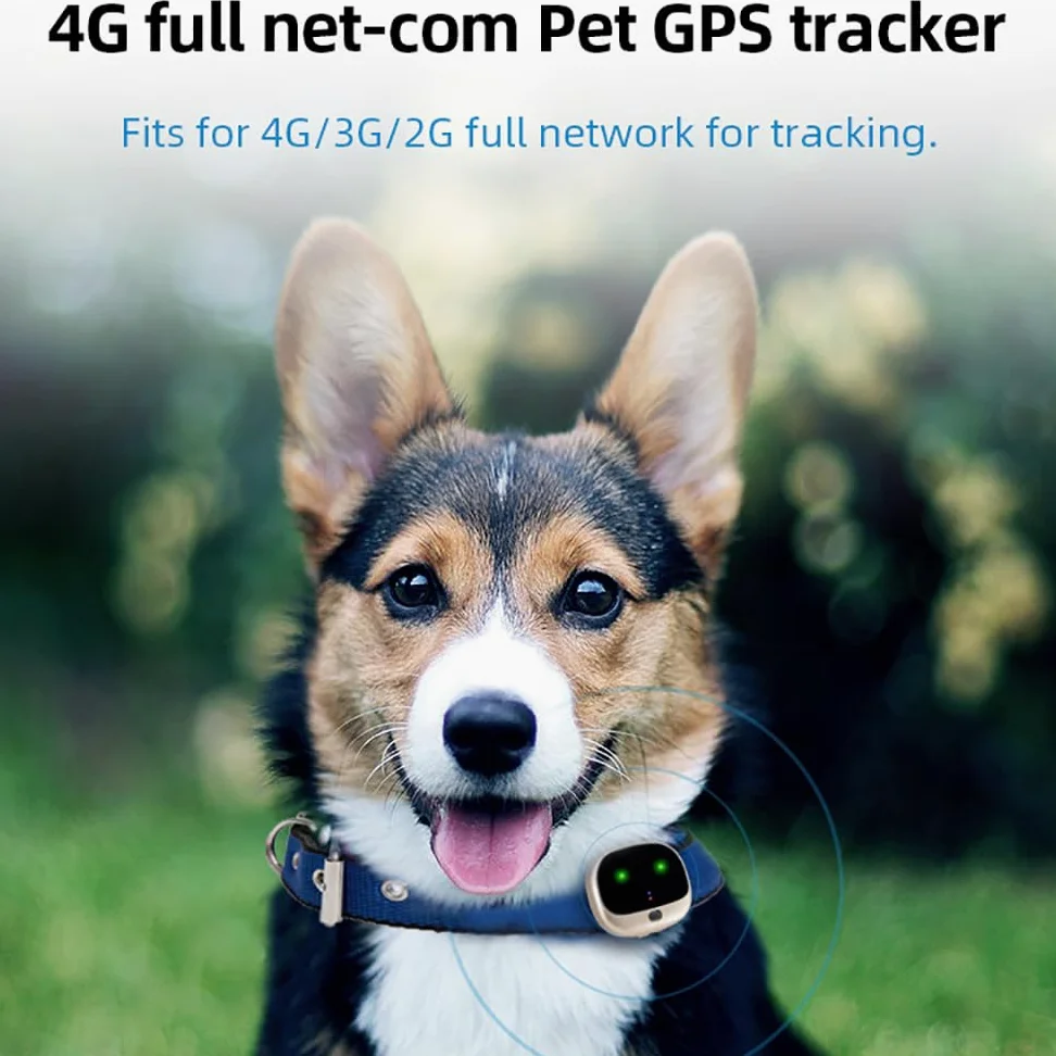 GPS Dog Tracker, collare intelligente ricaricabile per animali domestici con tracciamento e luci LED, sistema di contenimento per animali domestici per Corgi e Shiba Inu, dati sportivi e allarme