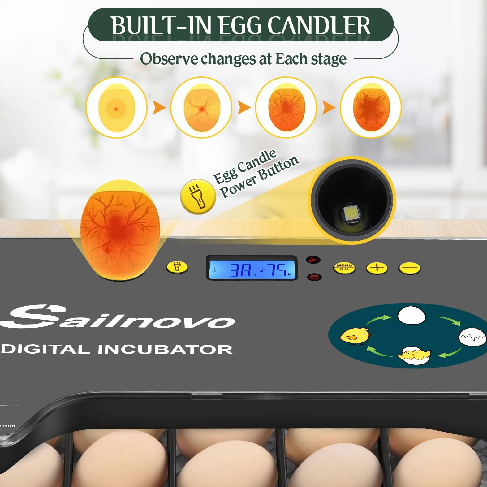Sailnovo Sailvono 20 Incubateur entièrement automatique, avec ajout d'eau externe, contrôle de la température, éclairage LED, retournement automatique des œufs, de poules - Noir