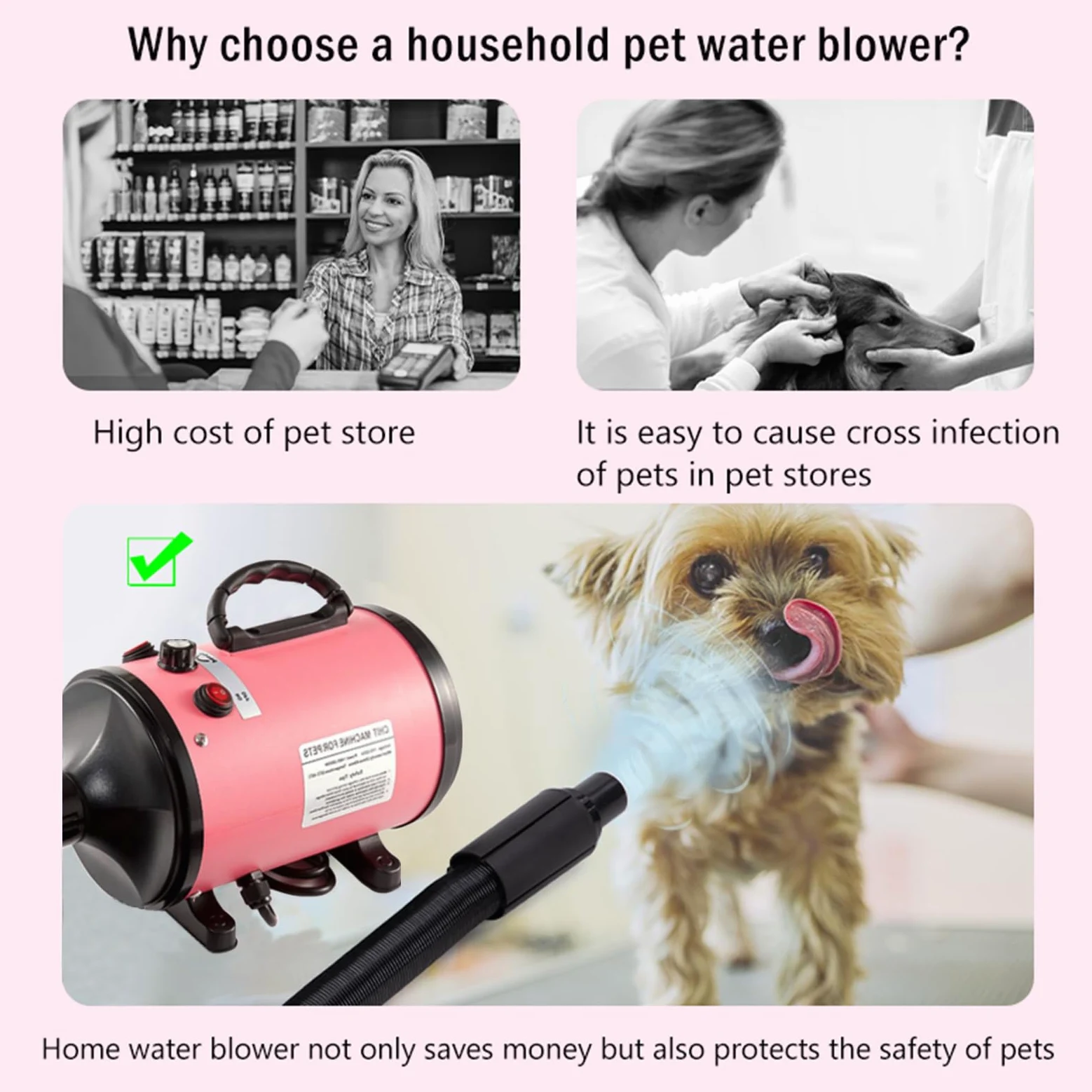 Soffiatore per Cani Asciugacapelli per Cani 2800W Phon per Cani Silenzioso Asciugatore per Cani Asciuga Cane Velocità e Temperatura Regolabili Asciugatrice per Cani Professionale con 4 Ugelli
