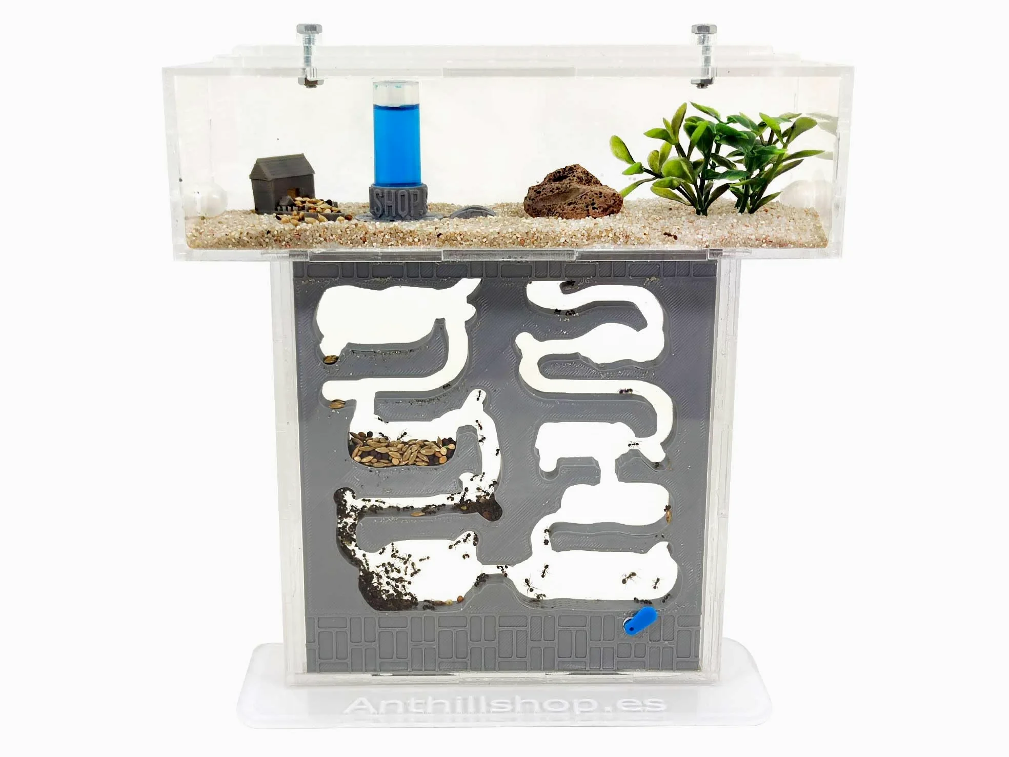 Formicaio T-Small Pro Galleria 3D, colore grigio, con formiche vive, kit completo, nuovo sistema di umidità efficace