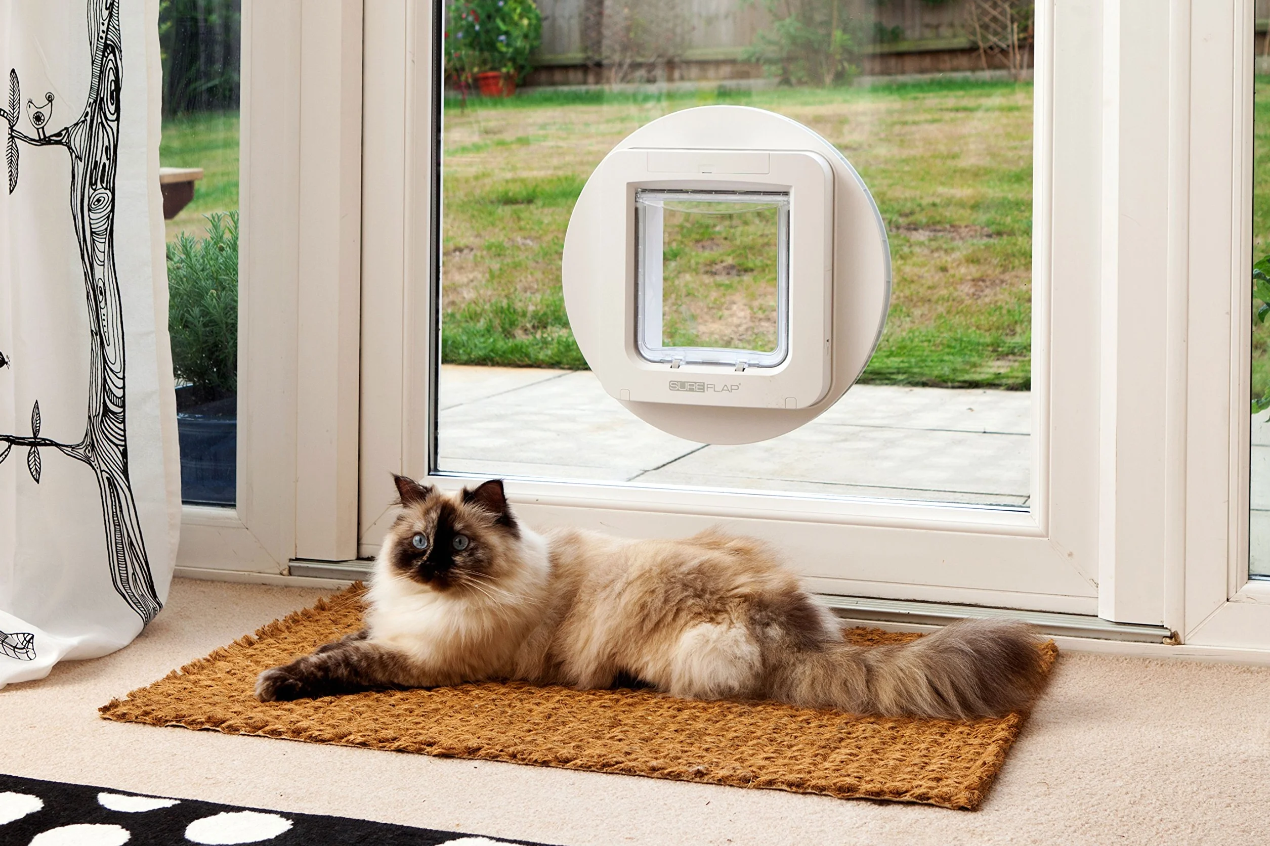 Porta per animali con lettore di microchip SureFlap Sure Petcare per gatti e piccoli cani; compat. Targhetta per collare RFID e microchip, Bianco; 4 batterie a cella C (non incl.)