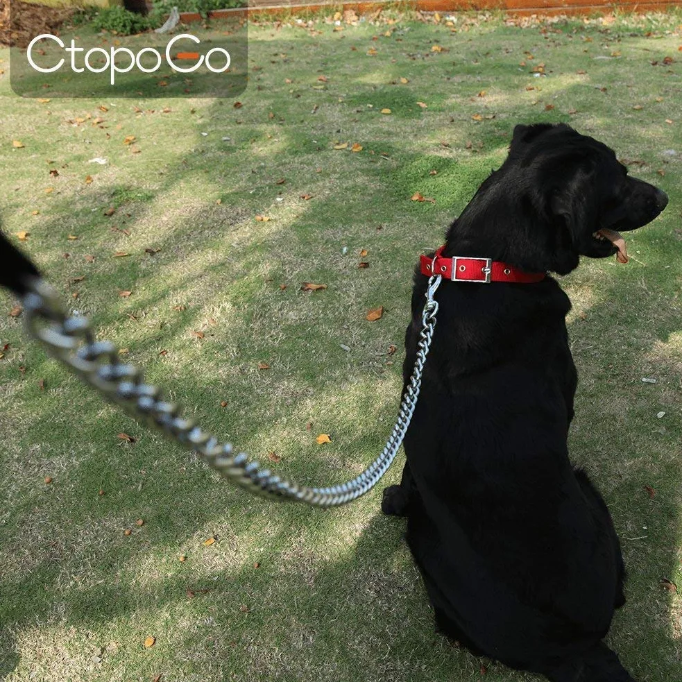 Guinzaglio per cani resistente, 1,2 m x 5,0 mm | Manico imbottito per cani di taglia grande e media