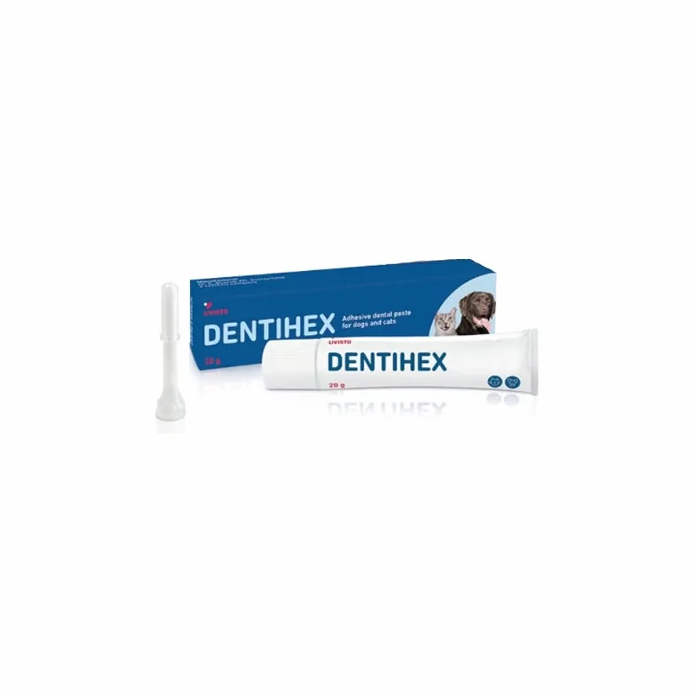 Dentifricio per cani e gatti, 20 g