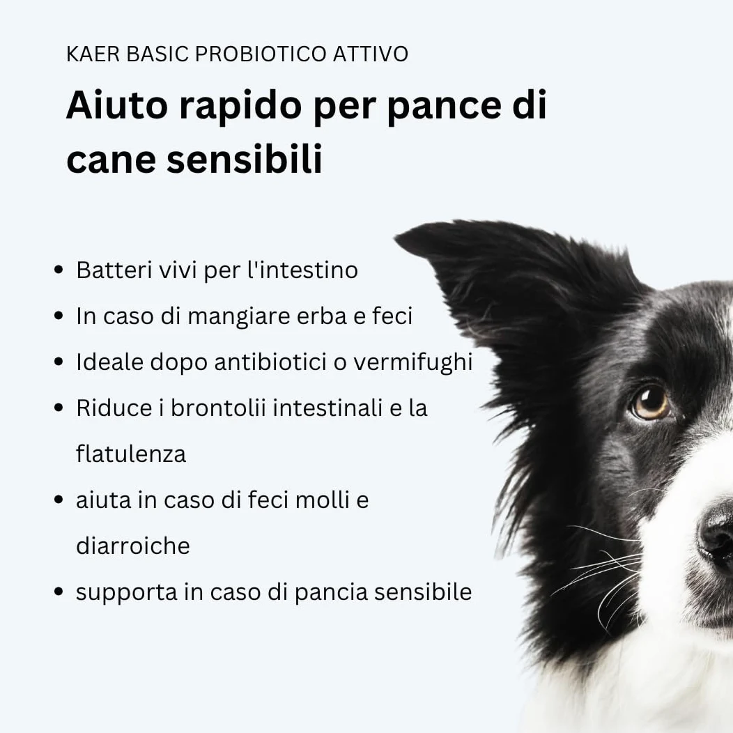 Probiotici per Cani con Batteri Vivi – Fermenti Lattici in Polvere per Flora Intestinale, Disintossicazione intestinale e in caso di diarrea, Gonfiore e Cura Post Antibiotici 500g