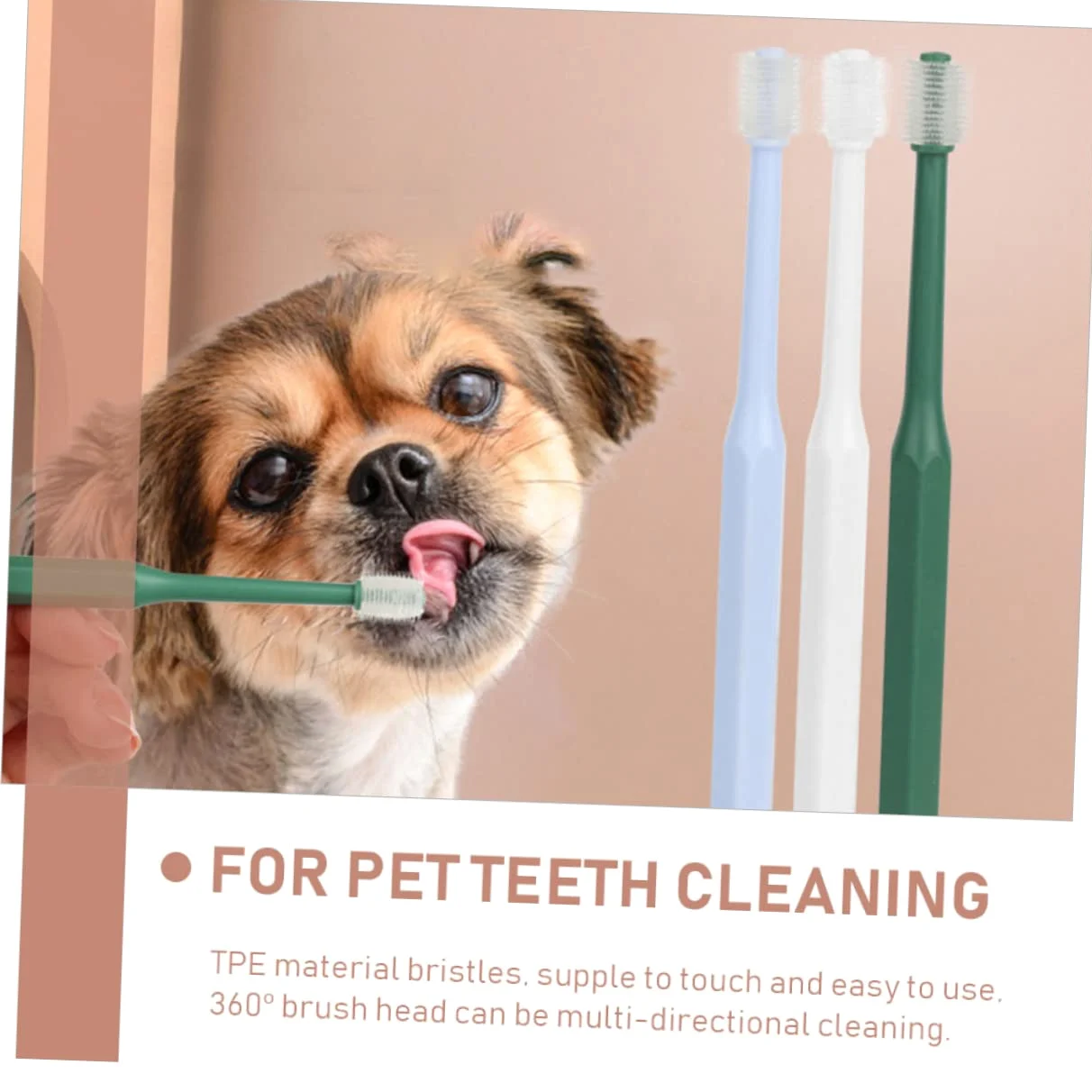 minkissy 12 Pezzi Spazzolino Da Denti Spazzolino Da Denti Per Animali Domestici Cucciolo Di Cura Dentale Spazzola Per La Pulizia Denti Dell'Animale Domestico Pulitore Per La Lingua Del