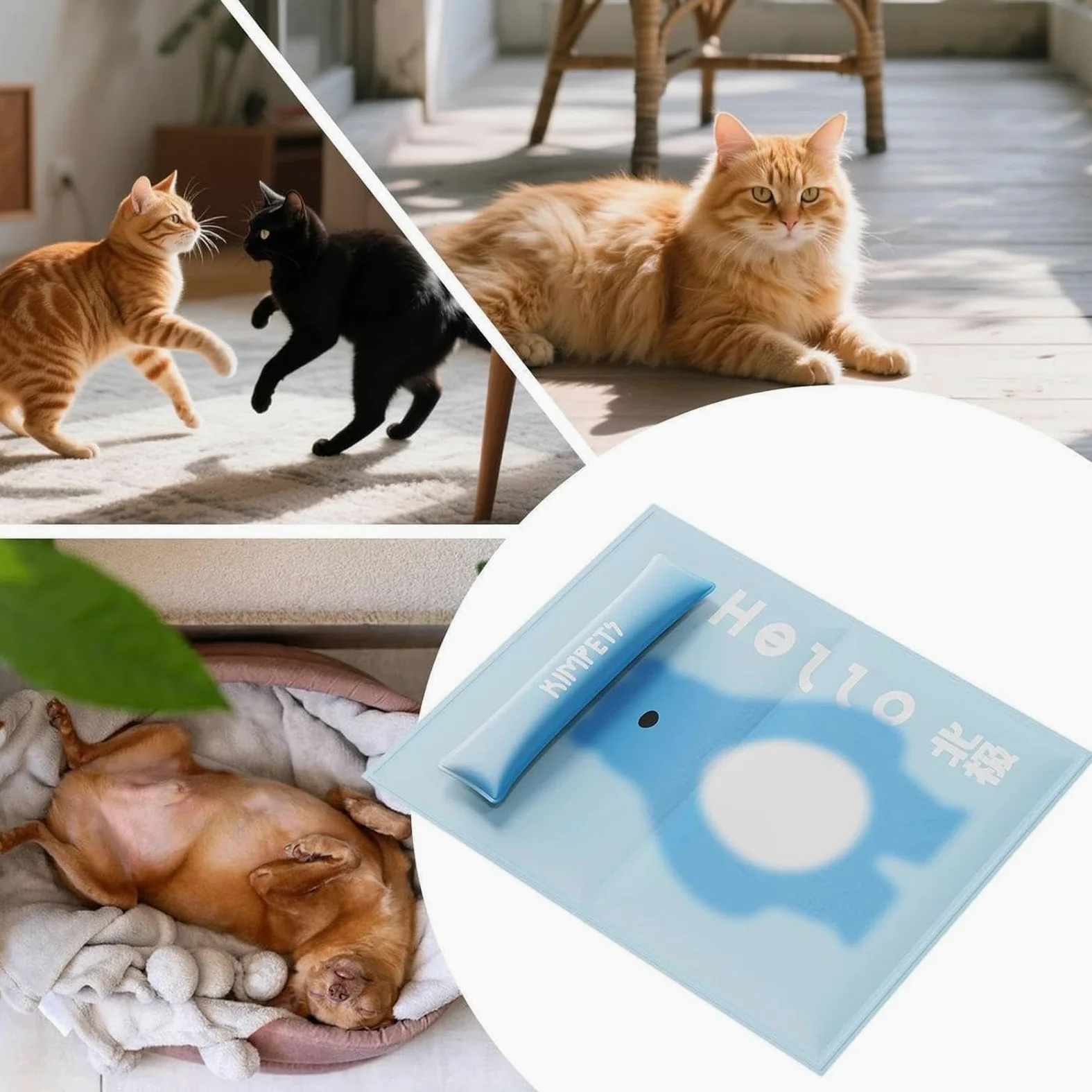 Generico Tappetino Rinfrescante Per Cani Traspirante Interno Esterno | Tappetino Rinfrescante Cani Interno Esterno Per Cuccioli Gatti Trasportino Canile Campeggio Spiaggia Viaggio