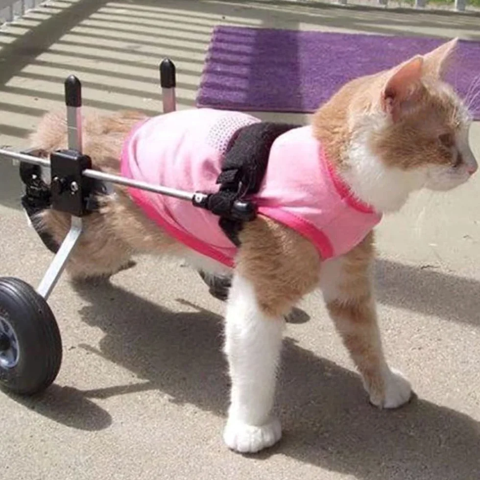 REMEK Passeggini Sedia A Rotelle per Riabilitazione delle Zampe Posteriori di Cane E Cuccioli, Carrello per Cani Anziani Feriti Disabili, Carrellino Adatto per Zampe Posteriori 8 A 30 Cm