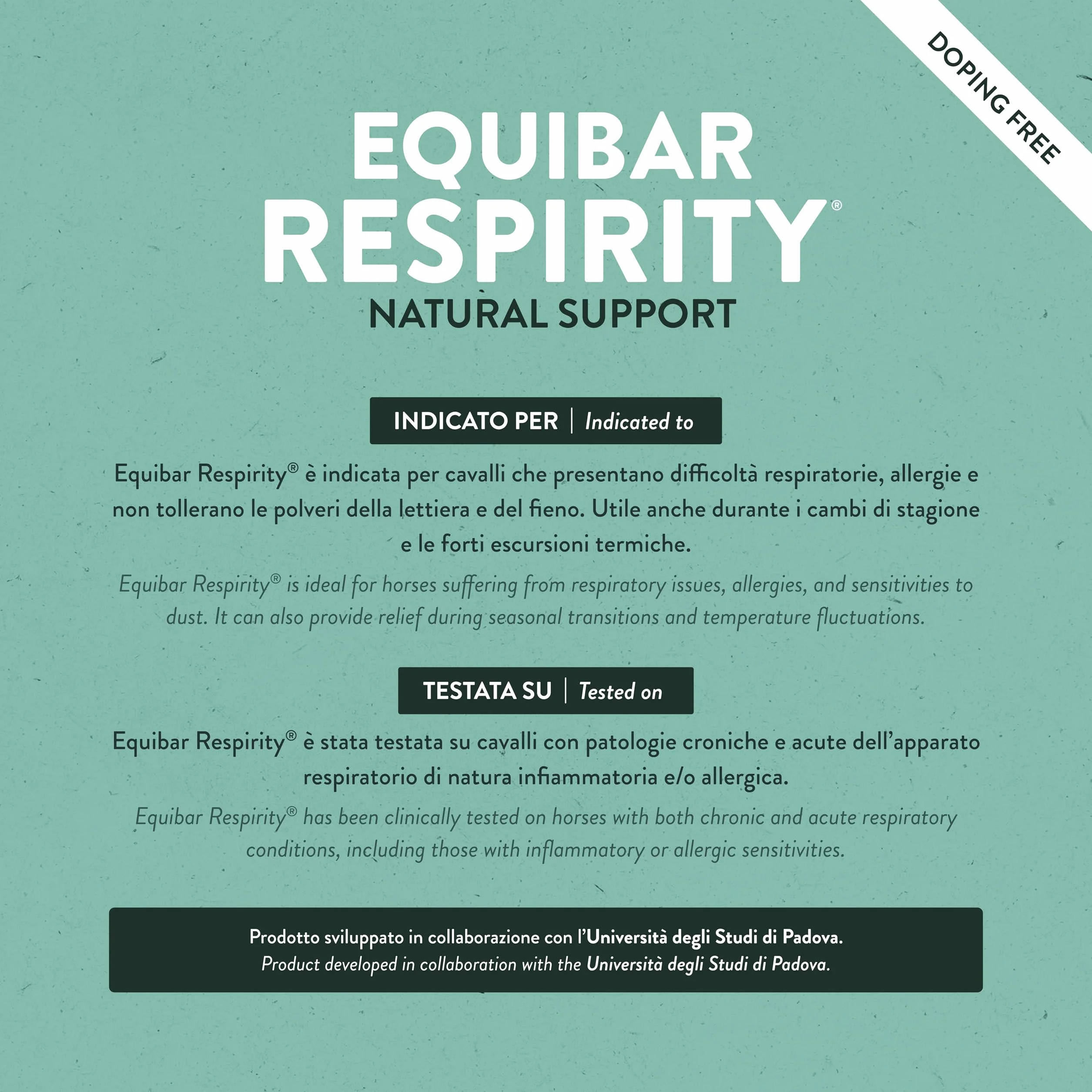 Guidolin Horses Equibar Respirity Barretta Funzionale per il Supporto dell'Apparato Respiratorio del Cavallo 100% Naturale Doping Free 600g per Cavalli