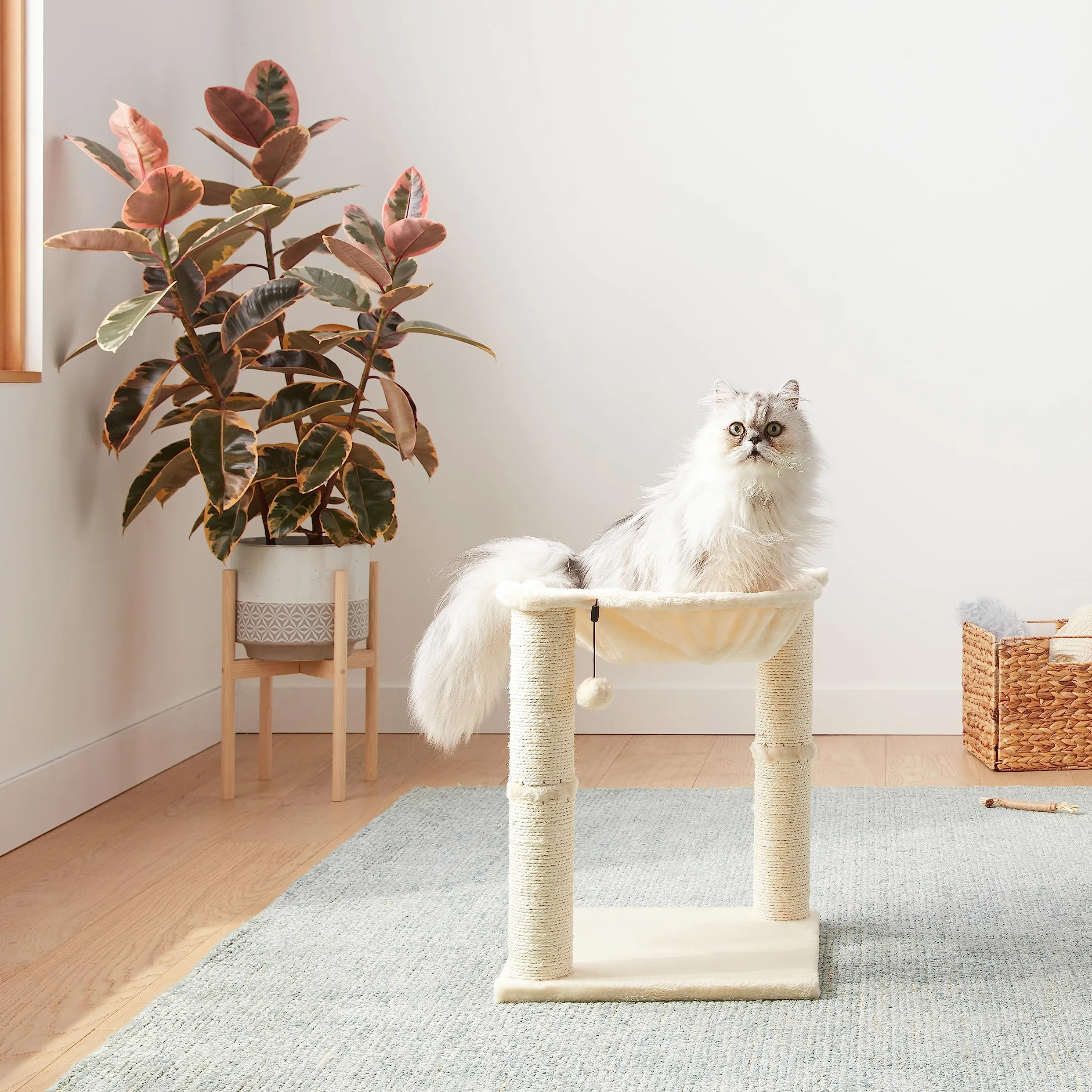 Amazon Basics Albero per gatti con amaca e palo tiragraffi, 40,6 x 50,8 x 40,6 cm, beige