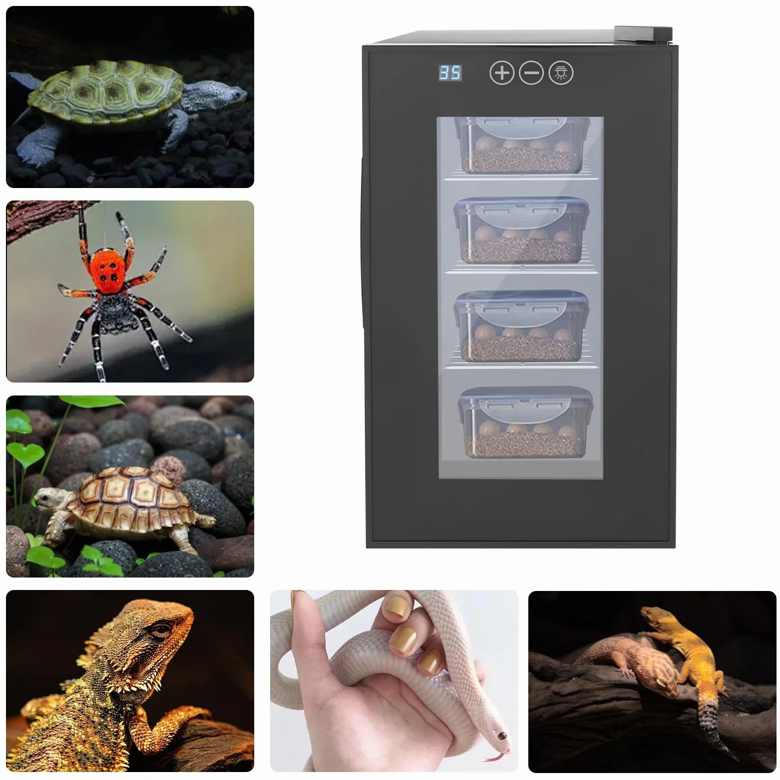 Incubatore per tartarughe, 23 l, automatico con display a LED, 10 – 40 °C, macchina per incubatrice automatica per rettili
