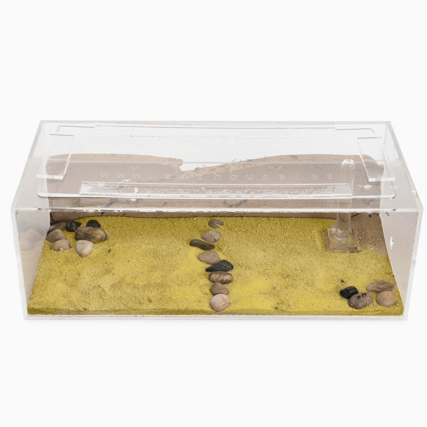 AntHouse - Fattoria di formiche in sabbia naturale - Set iniziale in acrilico grande 30x15x10 cm (Formiche)