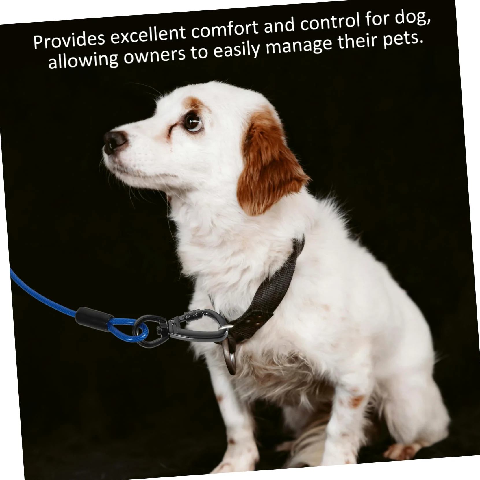 Guinzaglio Addestramento Cane Corda in Filo D'acciaio Blu | Doppio Aggancio in Lega di Zinco, Rivestimento Pvc, Leggero e Delicato sulla Pelle