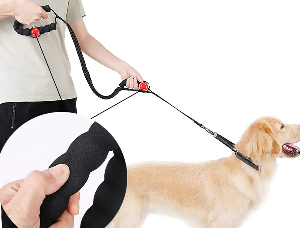 Guinzaglio per Cani Bungee, Guinzaglio per Animali Domestici Bungge Che Assorbe Gli Urti con 2 Maniglie di Controllo, Riflettente per Una Camminata Notturna più Sicura