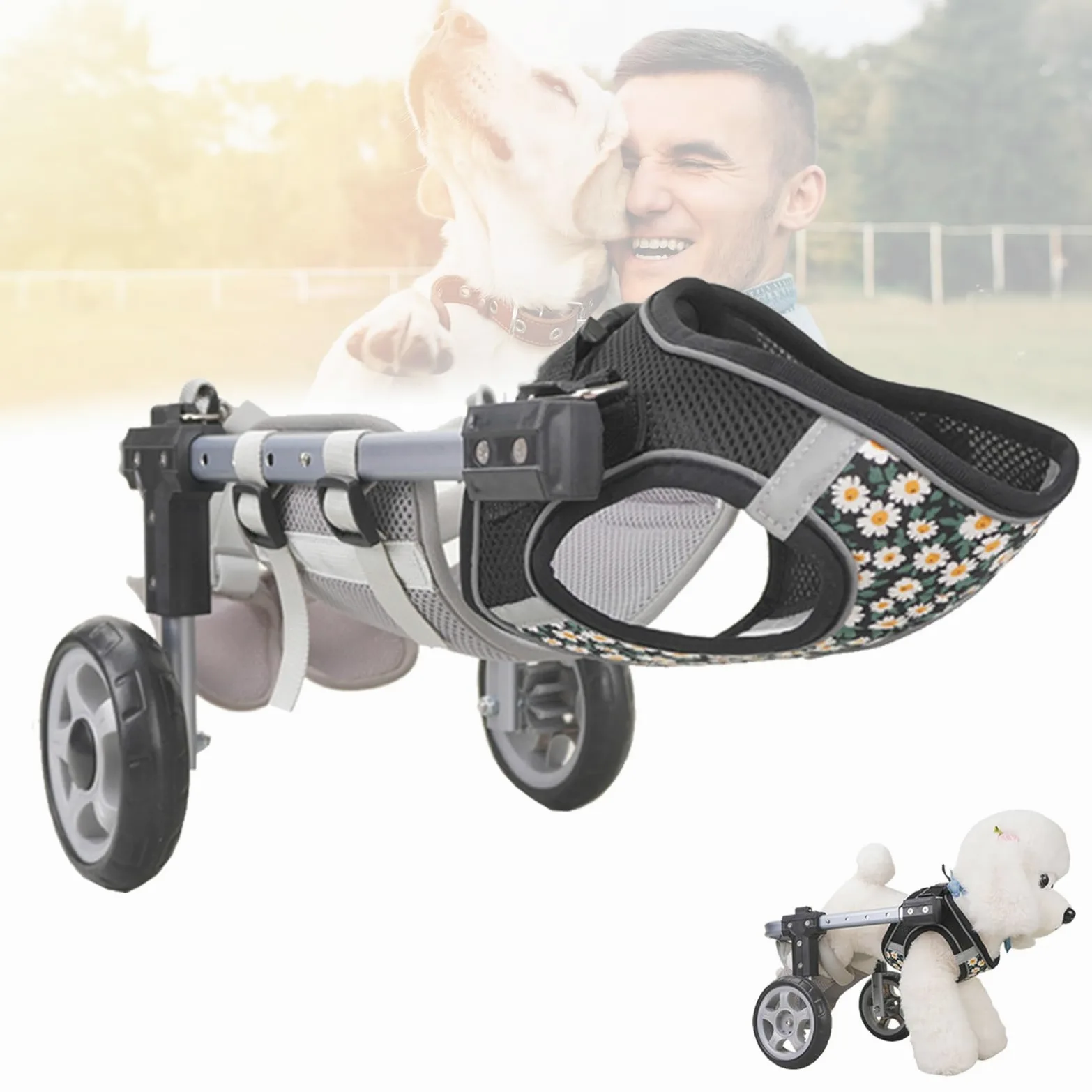 Sedia a rotelle per Cani a 2/4 Ruote per Zampe Posteriori, carrelli per Cani Leggeri e Regolabili con ausili per la Mobilità degli Arti Posteriori, deambulatore assistito per Cani disabili p