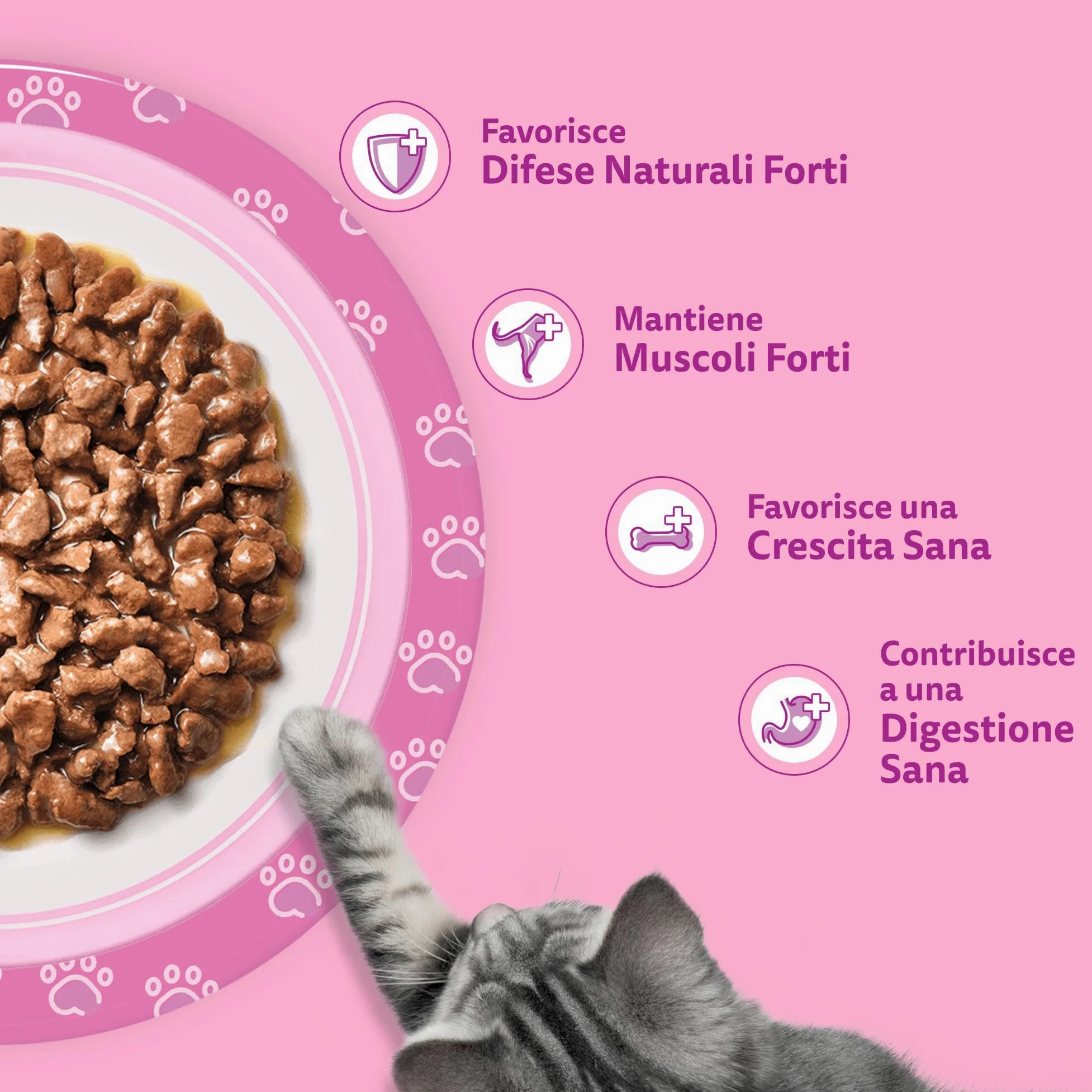WHISKAS Junior Cibo Umido per Gattini in Salsa 84x85g Selezione Gustosa