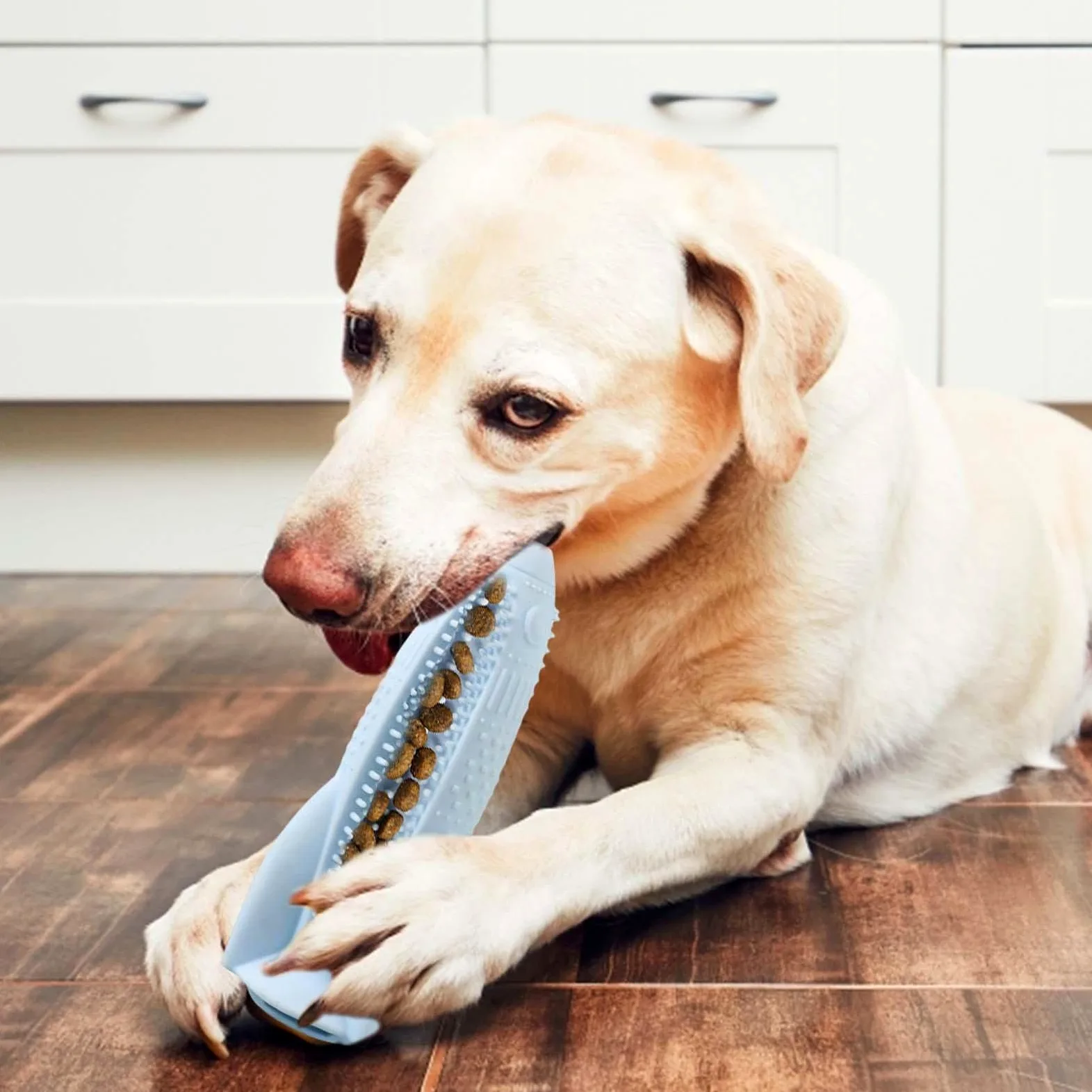 4 giocattoli da masticare in silicone per cuccioli, giocattolo 3 in 1 per la pulizia dei denti del cane, giocattolo interattivo per la pulizia dei denti, giocattoli da masticare per gattini, per