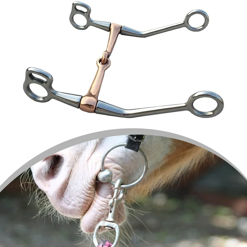 Morso per cavallo in acciaio inox di lunga durata con bocca in rame per una facile manutenzione
