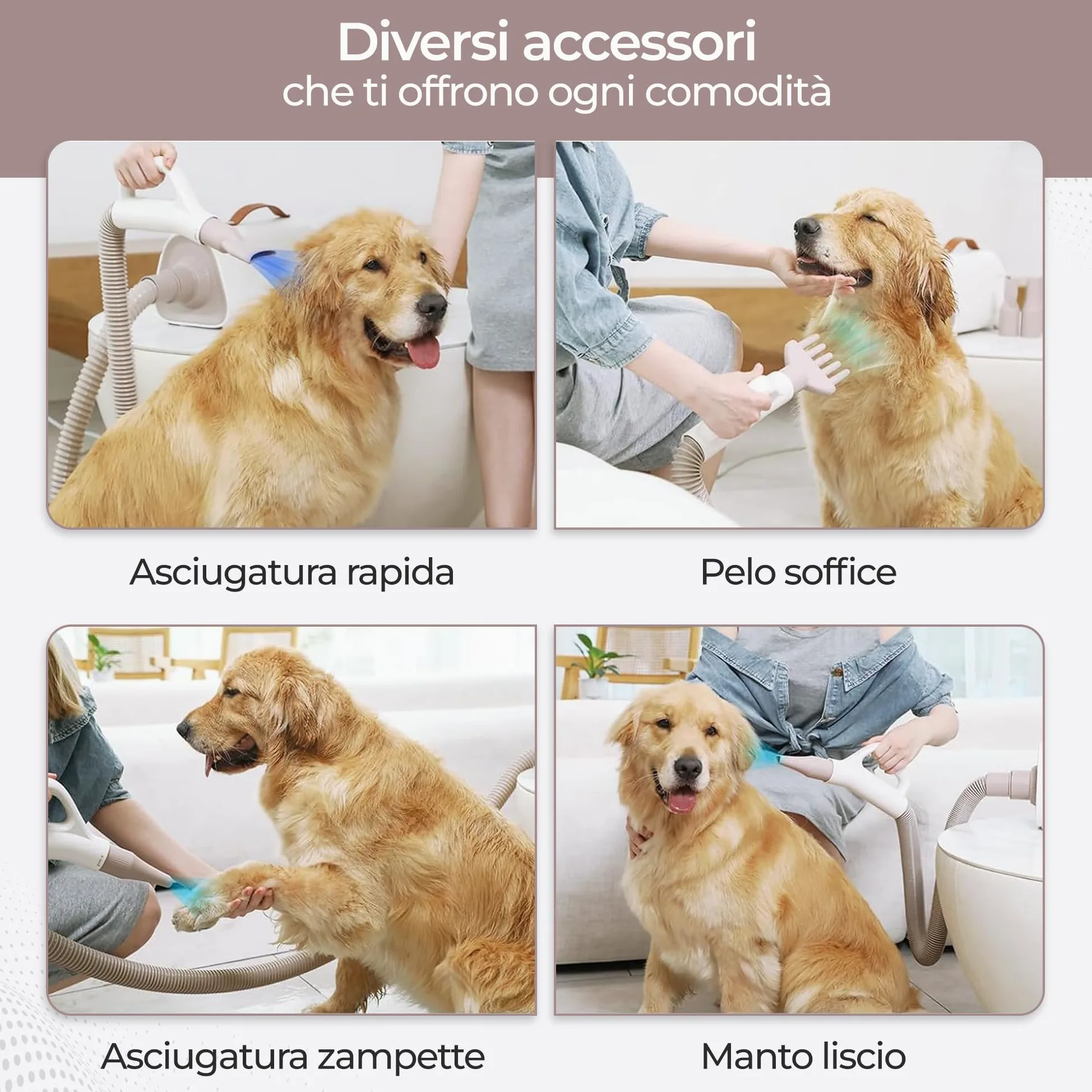Olvy Asciugacapelli per Cani, Phon per Animali Domestici con Schermo LED Touch, velocità del Vento Regolabile, 4 Ugelli, Soffiatore Professionale per Toelettatura Cani