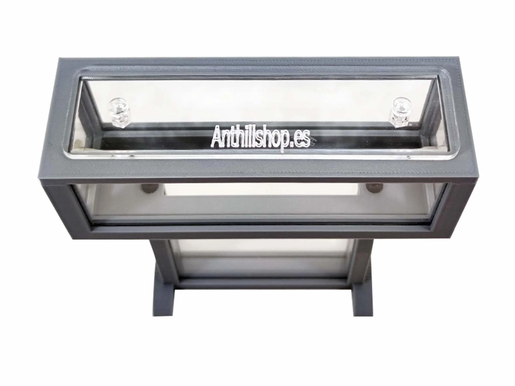 Kit per formiche T- Mini di sabbia naturale, 15 x 5 x 16 cm, formiche gratis incluse┃da 20-30 formiche