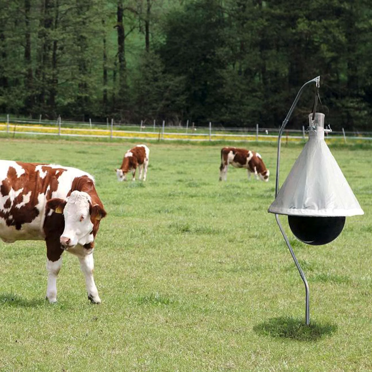 Agrarzone Trappola per tafani - Con efficacia di cattura del 95%, ideale per la protezione dei cavalli - Robusta ed ecologica, per pascoli, stalle, giardini e maneggi