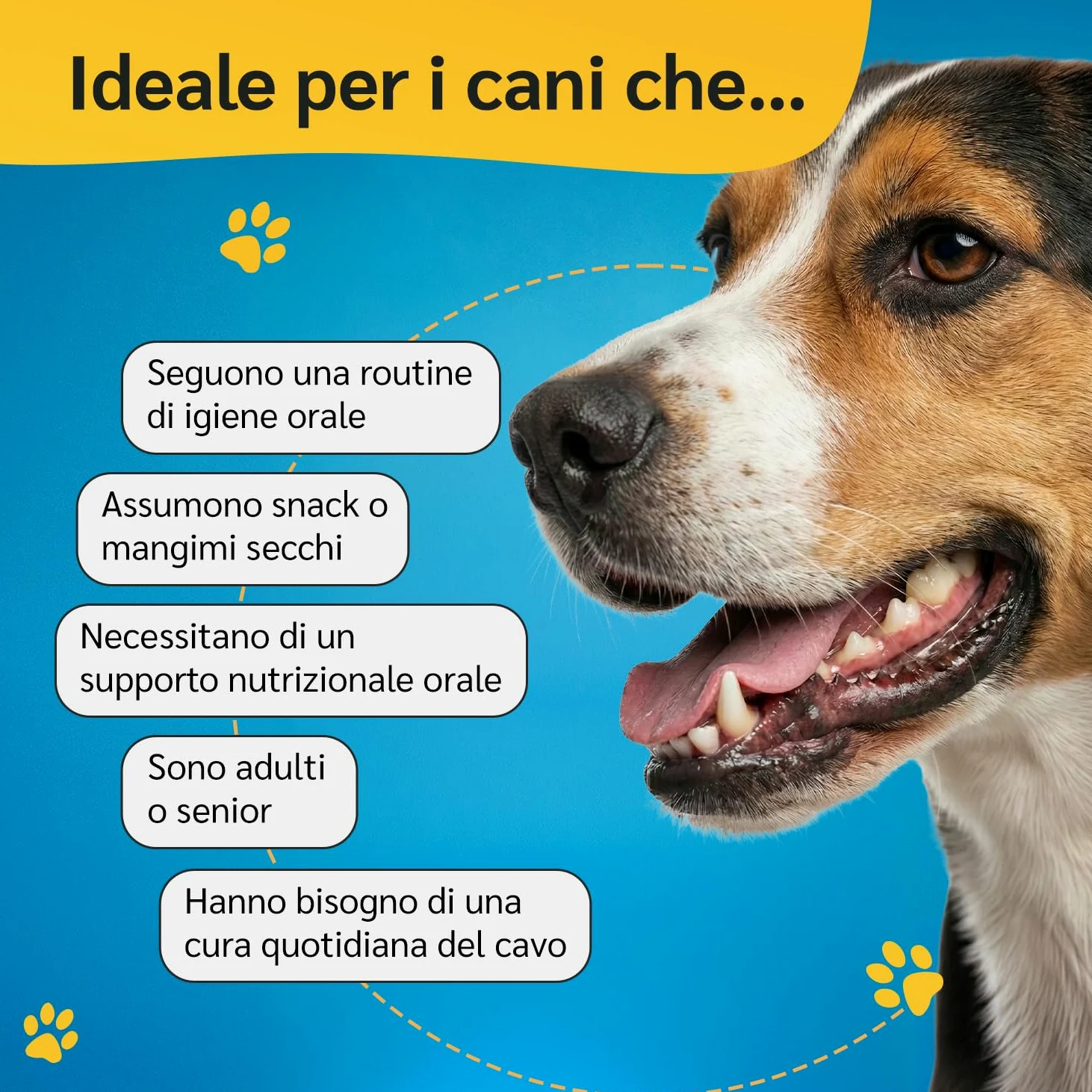 amusi Igiene Orale + Articolazioni per cani: Dentifricio in Polvere 60g con Ascophyllum e Menta per Denti e Alito + Integratore 125 Compresse con Glucosamina, Condroitina, MSM e Curcuma