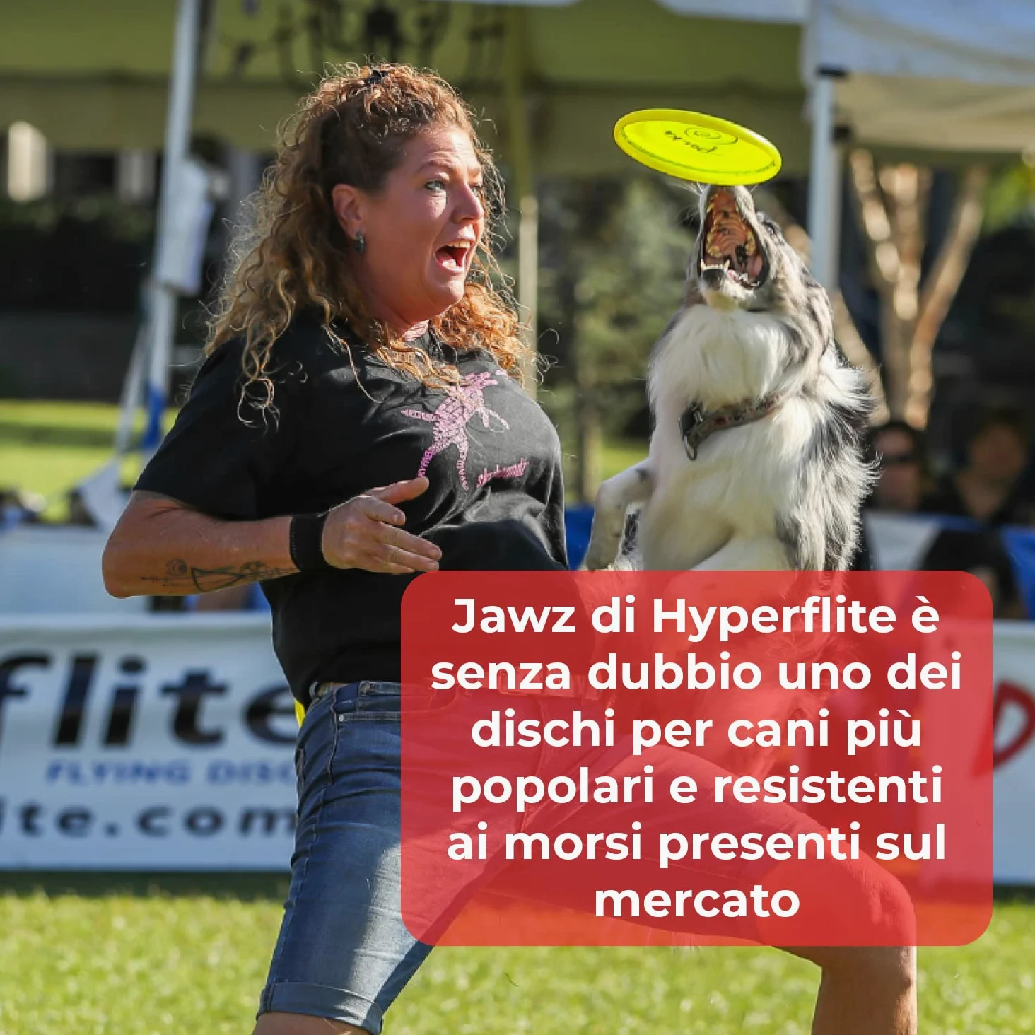 Hyperflite K10 Jawz Frisbee Resistente Morso per Cani per Discdogging - Blu