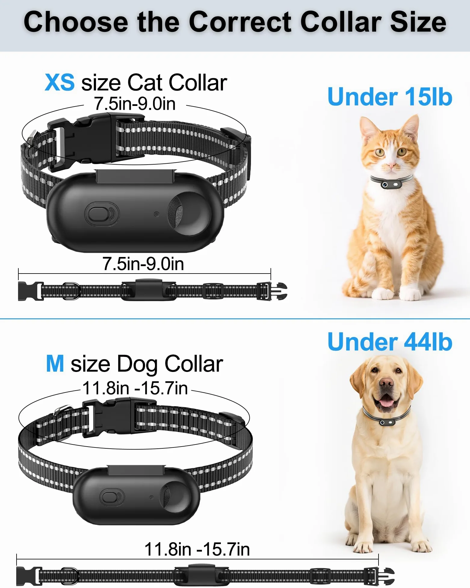 Collare per fotocamera per cani e gatti, 1080p HD registrazione video POV Cam per cani di taglia media e gatti grandi, taglia M, mini action camera ricaricabile con riproduzione USB su PC