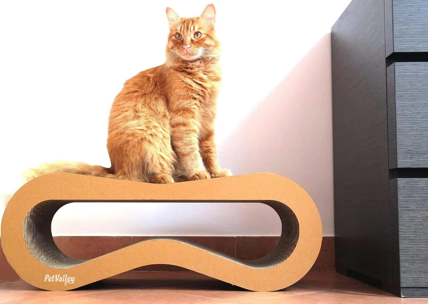 PetValley Tiragraffi per Gatti Kit Cuccia + Grattone Kraft Prodotto di Design in Cartone Ondulato Made in Italy, Ideale Come Cuccia, Palestra e Graffiatoio. 100% Riciclabile