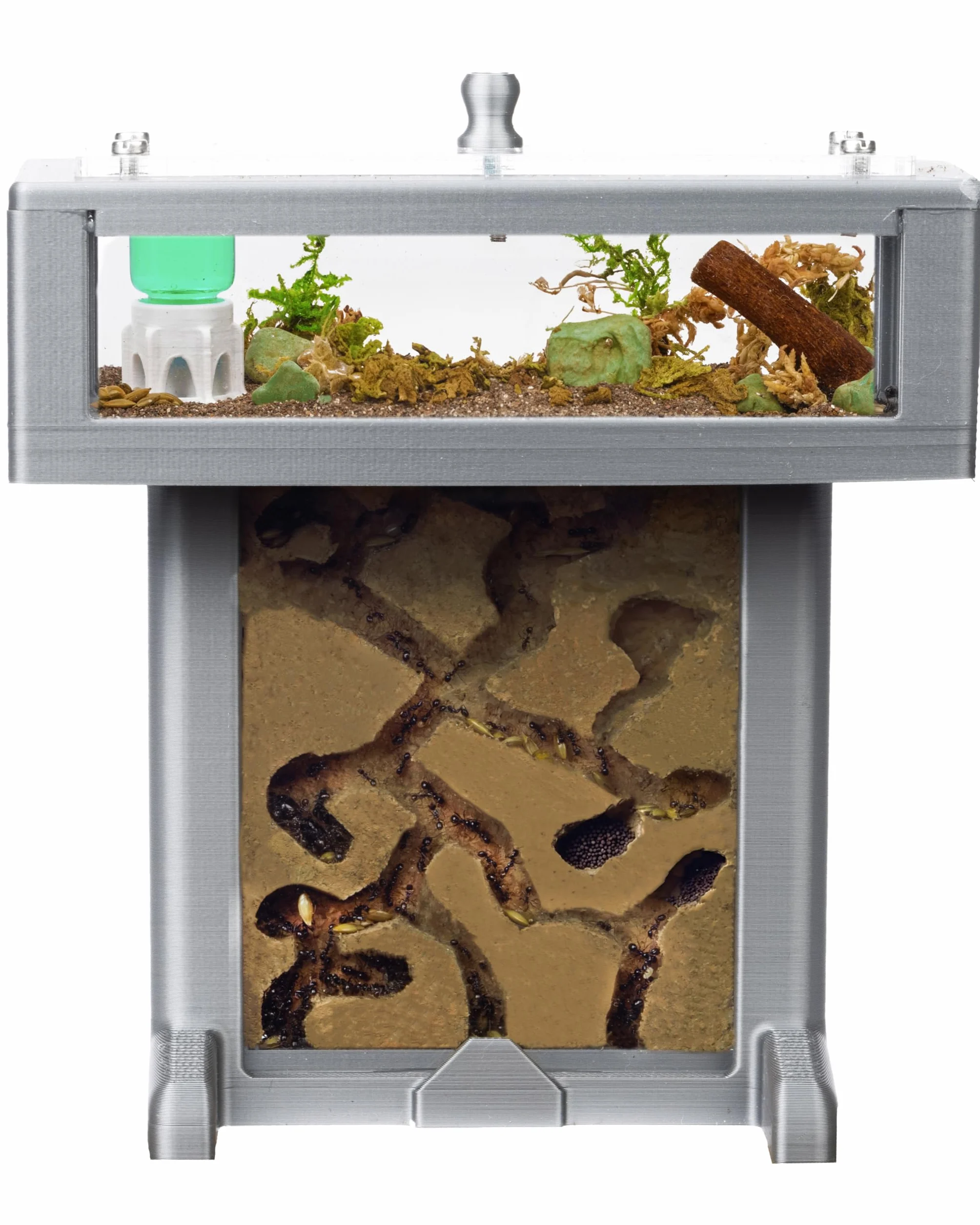 Anthouse.es - Formicaio in schiuma 3D - Kit T - 14x8x14cm - Formicaio - Colore Grigio - Formiche Incluse