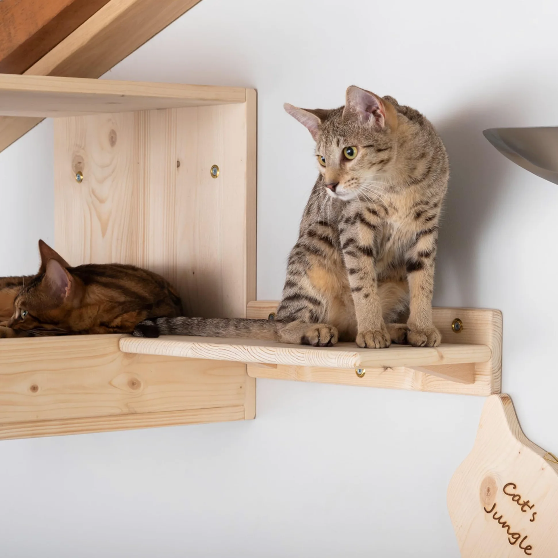 Mensole per Gatti da Parete in Legno d'Abete PEFC Artigianali, Mensola Gatto 40 cm, per Arrampicata e Percorso da Muro per Gatti con Resistenza Fino a 20 kg – Percorsipergatti