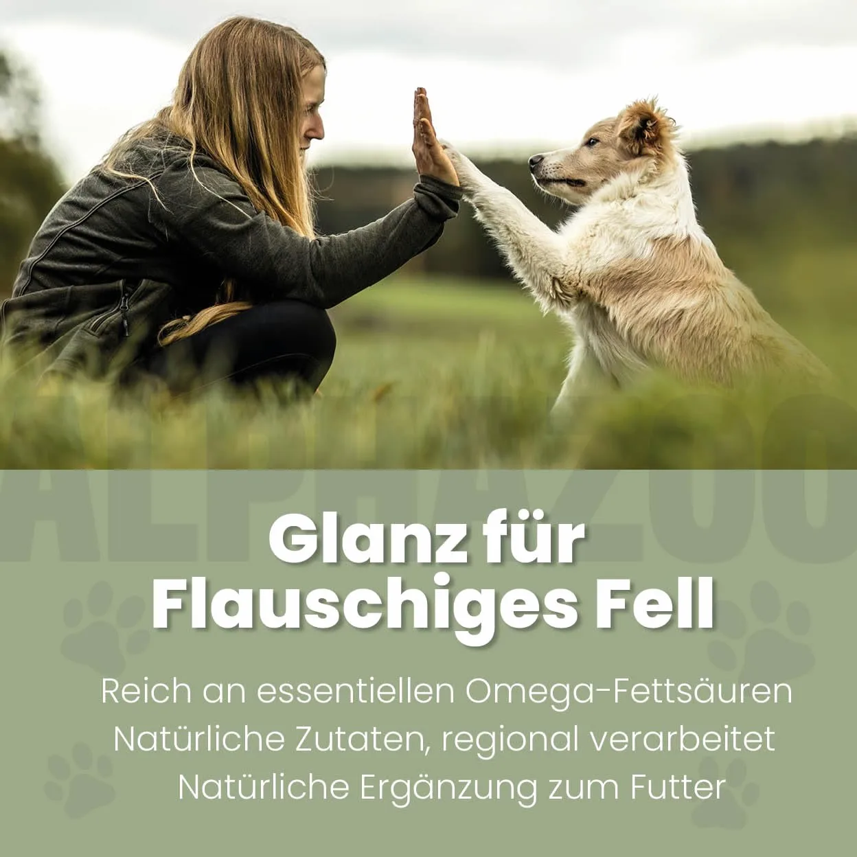 alphazoo olio di Fellliebe 250ml