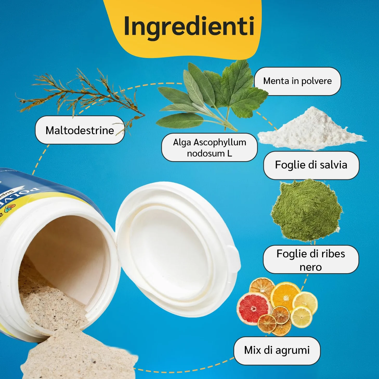 amusi Igiene Orale + Articolazioni per cani: Dentifricio in Polvere 60g con Ascophyllum e Menta per Denti e Alito + Integratore 125 Compresse con Glucosamina, Condroitina, MSM e Curcuma
