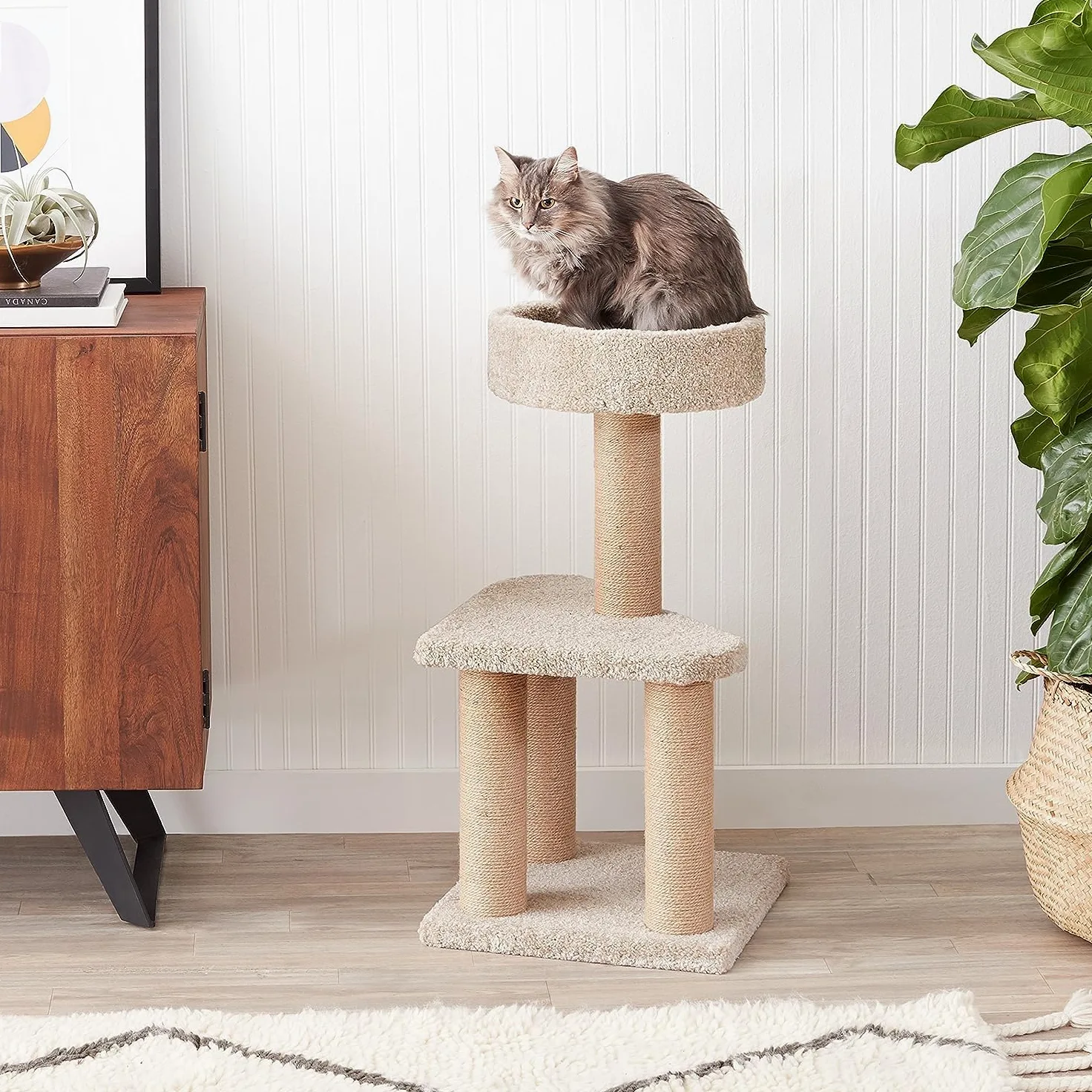 Amazon Basics Albero tiragraffi a Torre, per Gatti, con Pali tiragraffi, per Uso Interno e Domestico, Beige, Medio (40 x 40 x 80 cm)